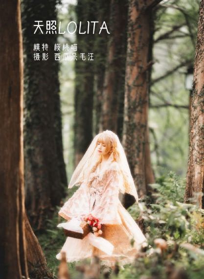 新入职的聪明驯服